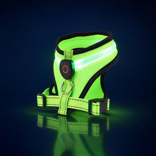 Arnes LED VisiDog verde, vista de estudio con tira LED encendida