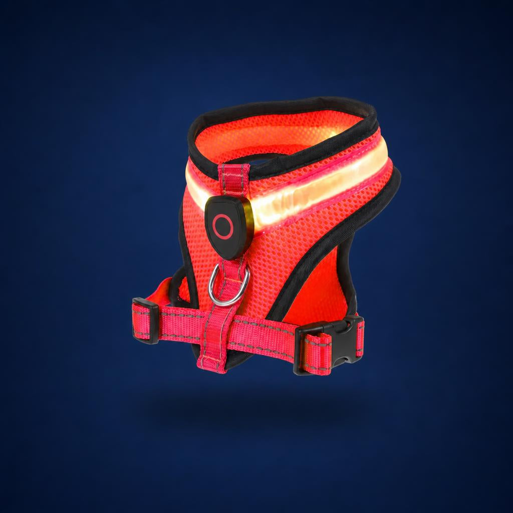 Arnes LED VisiDog color rojo